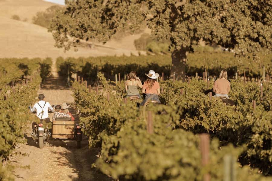 San Luis Obispo: Vineyard Rides Wine Adventure - Should You Book the Sidecar Wine Adventure?
