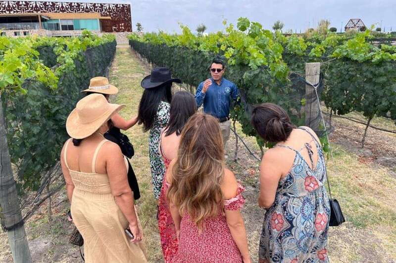 San Miguel de Allende: Local Vineyard Tour & Wine Tasting - Getting to Tres Raíces from San Miguel: the meeting point matters
