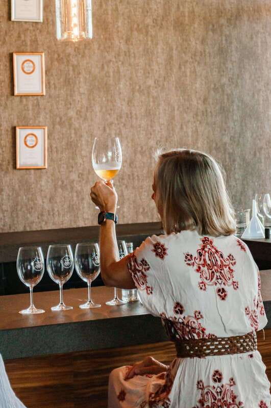 San Miguel de Allende: Local Vineyard Tour & Wine Tasting - The tasting room experience: how the flight and pairing work