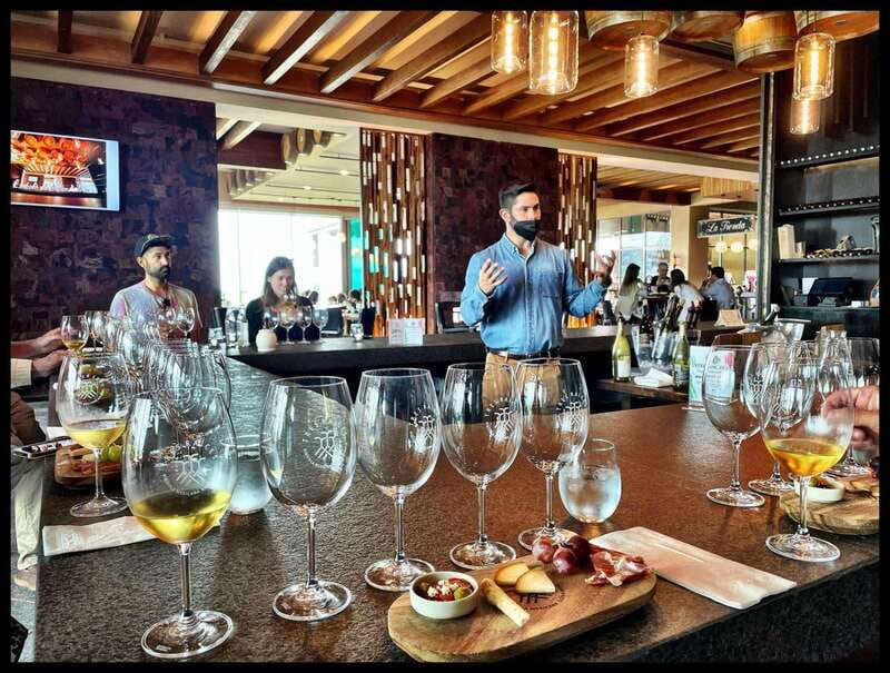 San Miguel de Allende: Local Vineyard Tour & Wine Tasting - Who this tour fits best (and who should skip it)