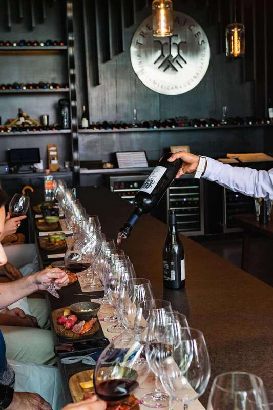 San Miguel de Allende: Local Vineyard Tour & Wine Tasting - Should you book the San Miguel Vineyard Tour & Wine Tasting?