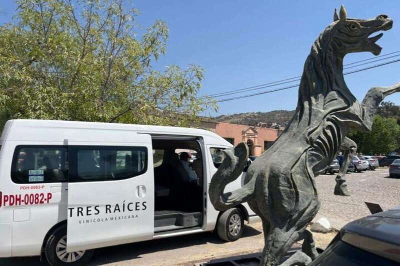San Miguel de Allende: Local Vineyard Tour & Wine Tasting - Winery tour highlights: architecture, cellar, and how wine gets made