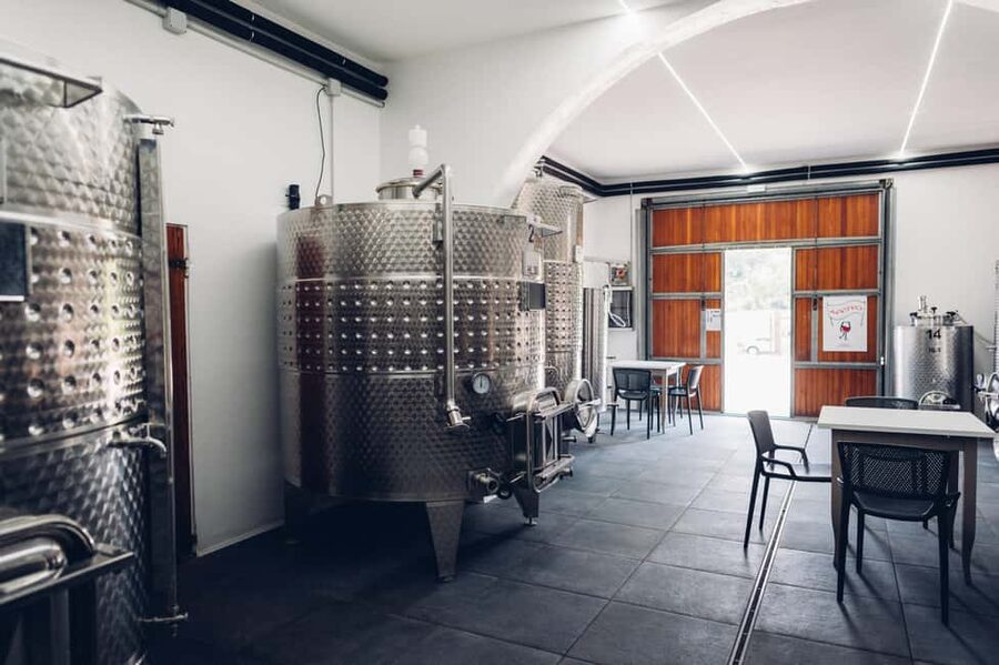San Miniato: Organic Wine Tour & Tasting at a Family-Winery - Inside the Cellar: Winemaking From Harvest to Aging