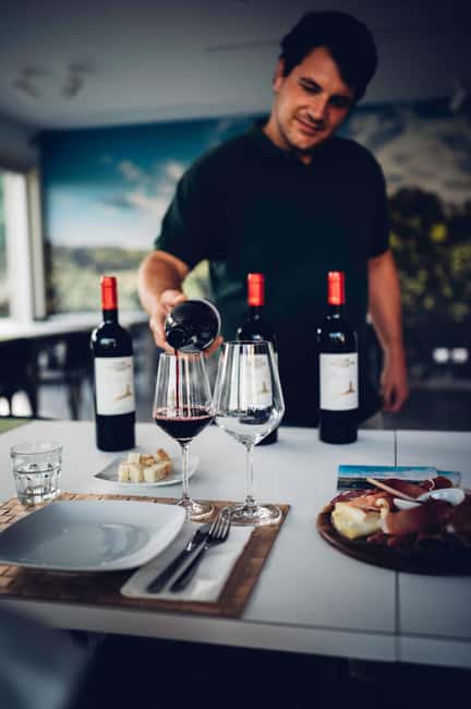 San Miniato: Organic Wine Tour & Tasting at a Family-Winery - The Six-Wine Tasting: Rosé, Whites, Reds, Plus Olive Oil Pairing