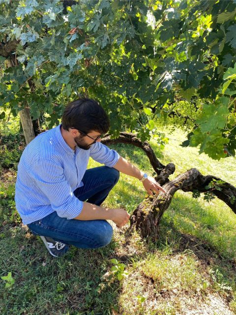 San Pietro di Feletto: Vineyard Tour with Cellar Visit - The 1600 Pink House and Ancient Stables: When History Feels Like a Working Estate