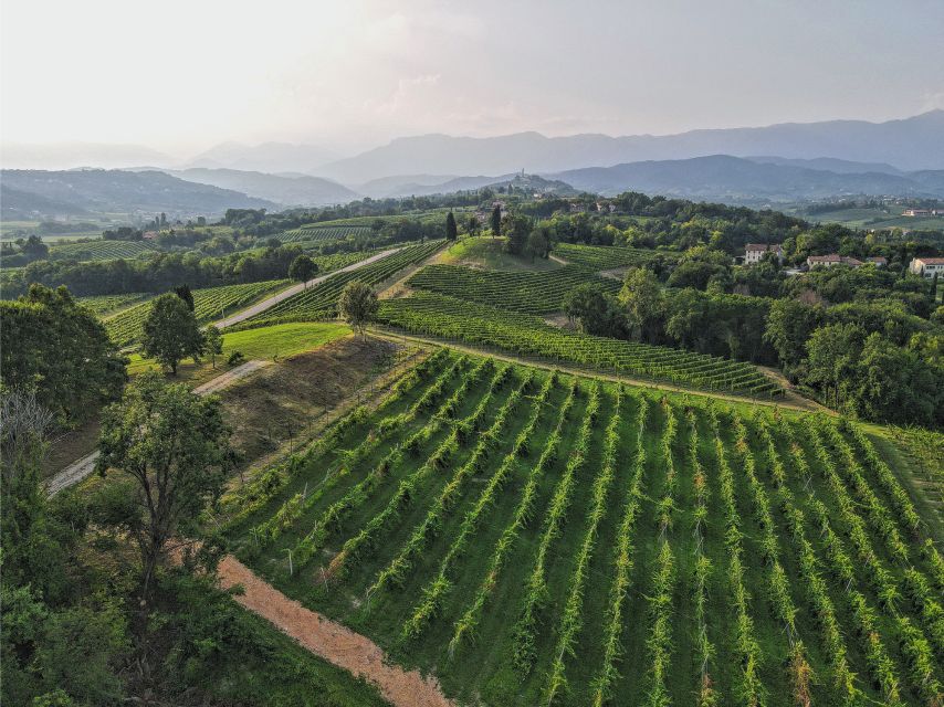 San Pietro di Feletto: Vineyard Tour with Cellar Visit - The Cellar Visit: Why Underground Time Makes the Wine Make Sense