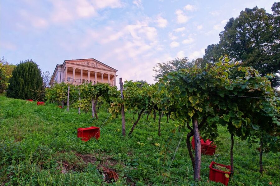 San Pietro di Feletto: Vineyard Tour with Cellar Visit - Price and Value: Is $70 Fair for Two Hours and Food?
