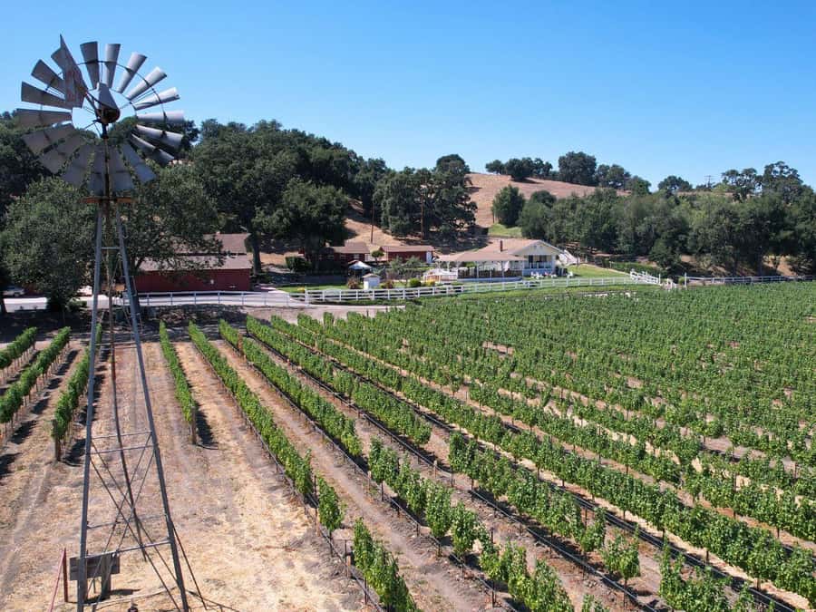 Santa Barbara: 3-Winery Tour Includes Tastings & Lunch inSYV - Who should book this Santa Ynez tour (and who should skip it)