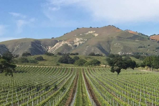 Santa Barbara's Original Afternoon Winery Tour - Price and value: why $223.89 can make sense
