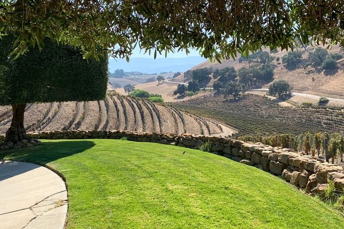 Santa Barbara Vineyard to Table Taste Tour by E-Bike - Rancho Olivos olive oil tasting: the flavor lesson most people remember