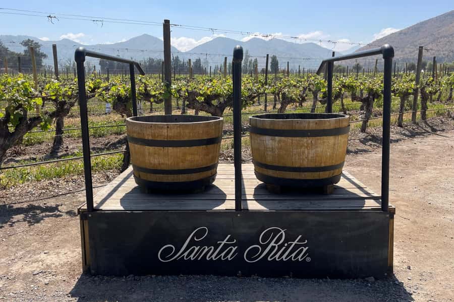 Santa Rita Vineyard Tour: History, Wine, and Outdoor Picnic - Key things to know before you go