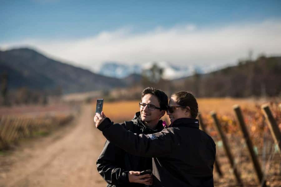 Santa Rita Vineyard Tour: History, Wine, and Outdoor Picnic - From Centenary Park to Santa Rita: how the day starts smoothly
