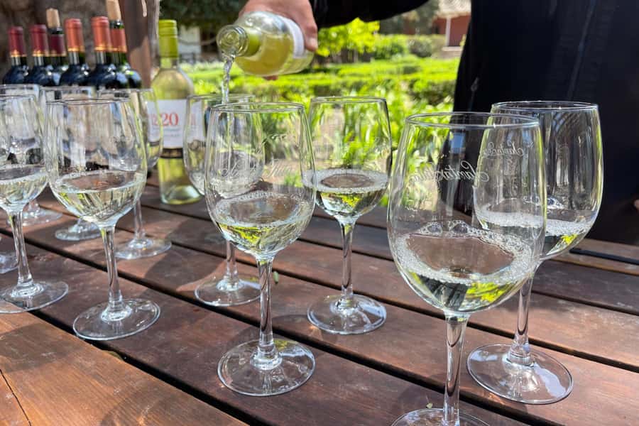 Santa Rita Vineyard Tour: History, Wine, and Outdoor Picnic - Gourmet outdoor picnic: the moment the day turns delicious