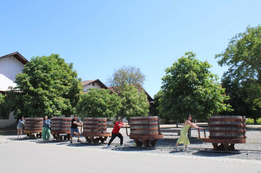 Santa Rita Vineyard Tour: History, Wine, and Outdoor Picnic - The Museo Andino stop: 3,000+ artifacts in a short, useful window
