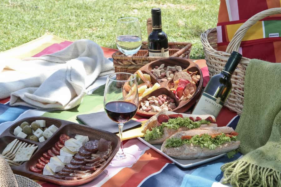 Santa Rita Vineyard Tour: History, Wine, and Outdoor Picnic - Who should book this Santa Rita day—and who should pass