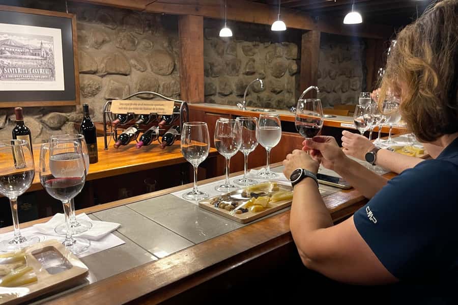 Santa Rita Vineyard Tour with Lunch, an Unforgettable Day! - Price and value: does $207 feel fair for a full 9 hours?
