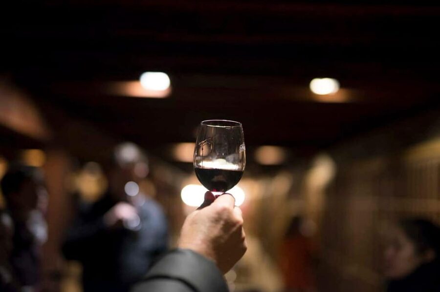 Santa Rita Vineyard Tour with Lunch, an Unforgettable Day! - Historic cellars and the 120 Patriots’ Cellar story