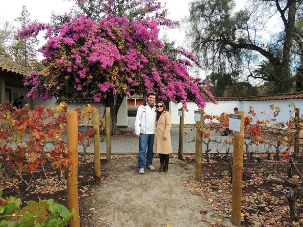 Santa Rita Winery Selection Tour - Key things to know before you go
