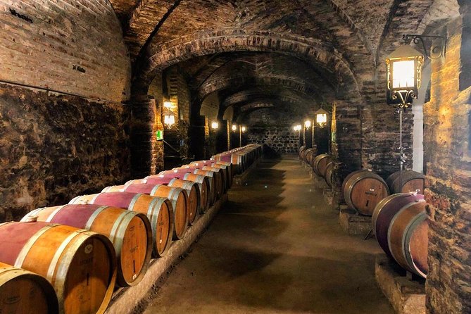 Santa Rita Winery Selection Tour - Price and value: what $44.80 buys you in Santiago