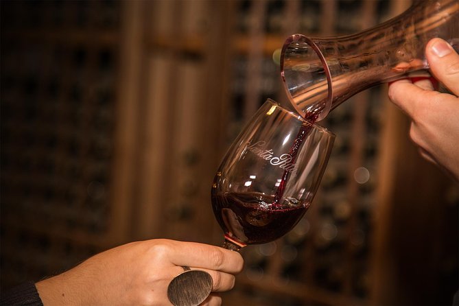 Santa Rita Winery Selection Tour - Stop 1 at the vineyards: the walk that teaches without lecturing