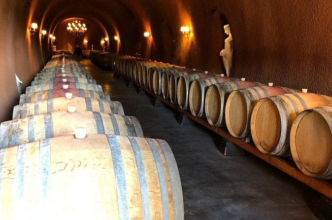 Santa Rosa North Sonoma County Small Group Winery Tour - Is This Tour Right for You?