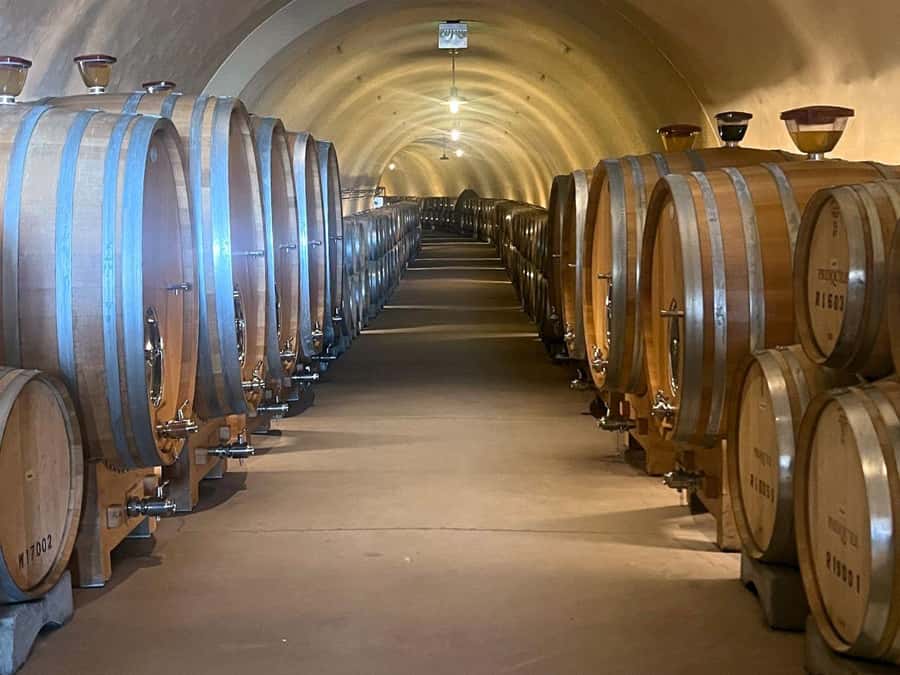 Santa Ynez: 3-Winery Tour Includes Tastings and Lunch - Who this tour fits best
