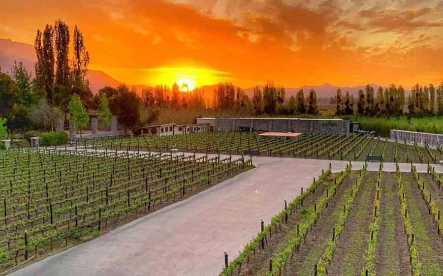 Santiago: Alyan Winery Sunset with Wine Tastings and Dinner - Sunset Photos on the Road and at Alyan