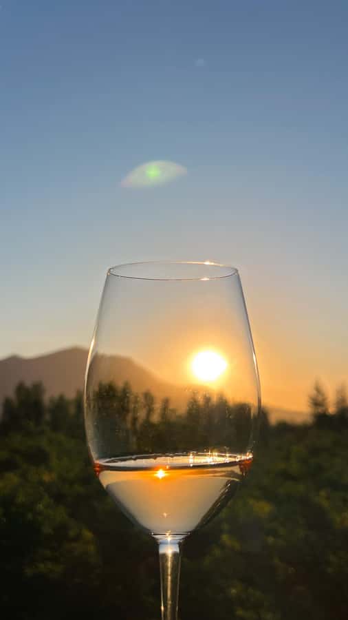 Santiago: Alyan Winery Sunset with Wine Tastings and Dinner - Should You Book Alyan Sunset with Wine Tastings and Dinner?