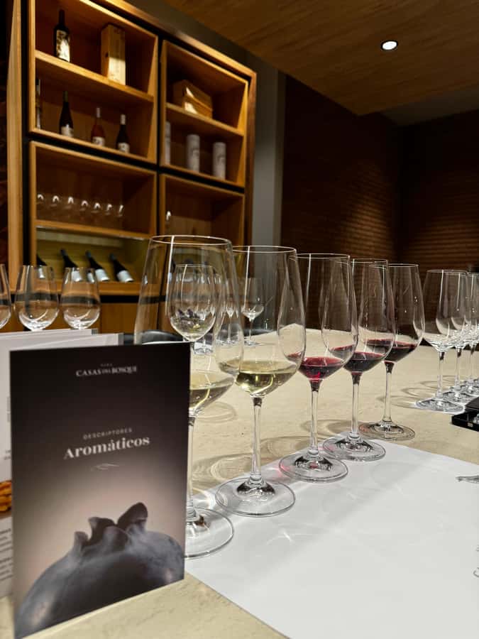 Santiago: Casa del Bosque Winery with Tasting and Lunch - Who should book this tour, and who should skip it