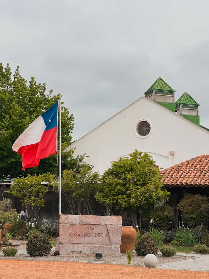 Santiago: Casa del Bosque Winery with Tasting and Lunch - Casas del Bosque in the Casa Blanca Valley: the vibe you’re buying