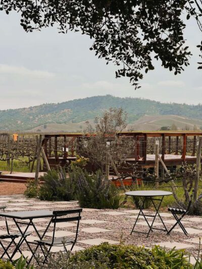 Santiago: Casa del Bosque Winery with Tasting and Lunch - Pickup in Santiago: convenient, but timing is the whole game