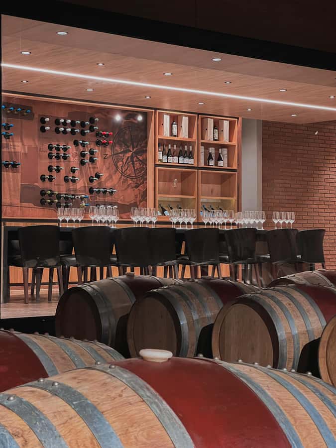 Santiago: Casa del Bosque Winery with Tasting and Lunch - Time Plan: how the 5 hours feel on the clock