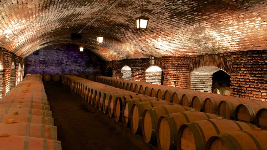 Santiago: Concha y Toro Vineyard Tour w/ Transfer & Tasting - Don Melchor Square: Panoramic Views and a First Wine