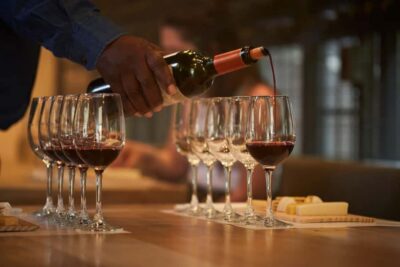 Santiago: Concha y Toro Vineyard Tour w/ Transfer & Tasting - The Ride Into Pirque: Where the Day Changes Gear