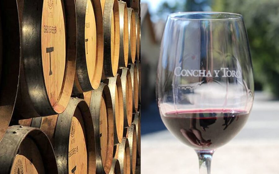 Santiago: Concha y Toro Vineyard Tour w/ Transfer & Tasting - Old Park Walk and the Pirque Casona Big House