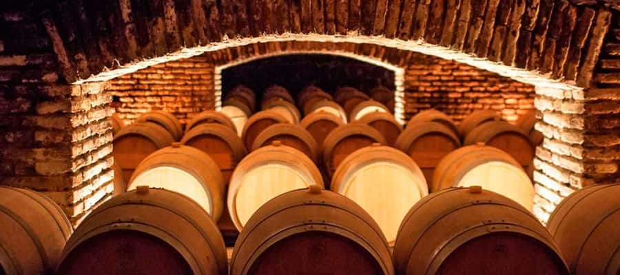 Santiago: Concha y Toro Winery 4–Hour Tour & Sommelier Class - Key highlights you’ll actually care about