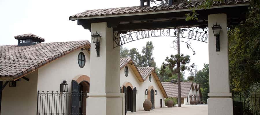 Santiago: Concha y Toro Winery 4–Hour Tour & Sommelier Class - Who this tour suits best (and who should think twice)