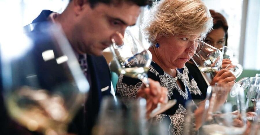 Santiago: Concha y Toro Winery 4–Hour Tour & Sommelier Class - Timing and language: two small details that can make or break your day