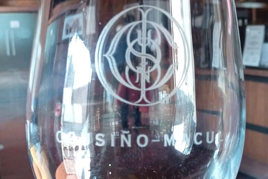 Santiago: Cousiño Macul Vineyard Premium Tasting Tour - Guides and Conversation: From Nico to Eugenio to Elias