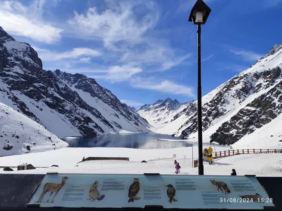 Santiago: Inca Lagoon Tour with Local Vineyard and Tasting - Key Highlights You’ll Feel Immediately