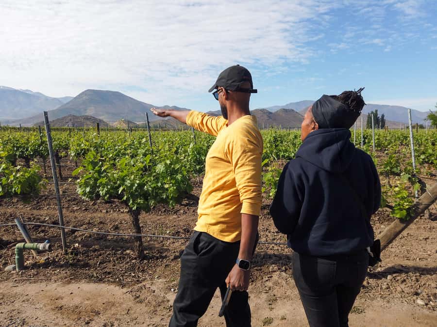 Santiago: Inca Lagoon Tour with Local Vineyard and Tasting - Portillo and Laguna del Inca at 9,360 Feet: How to Use Your Time