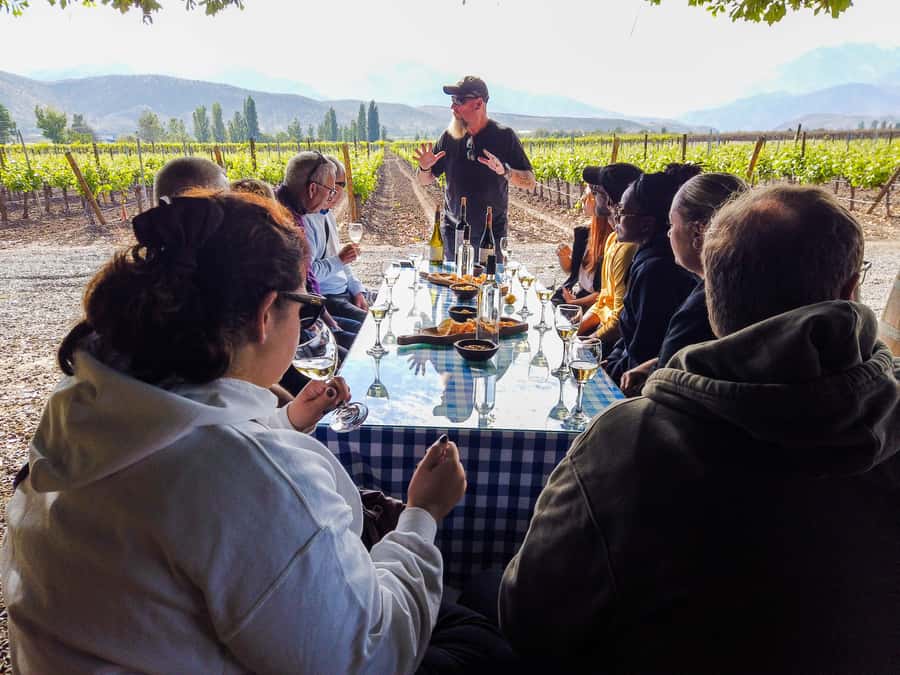 Santiago: Inca Lagoon Tour with Local Vineyard and Tasting - The Return: Guardia Vieja Ventisquero, Short Road Stops, and Llamas