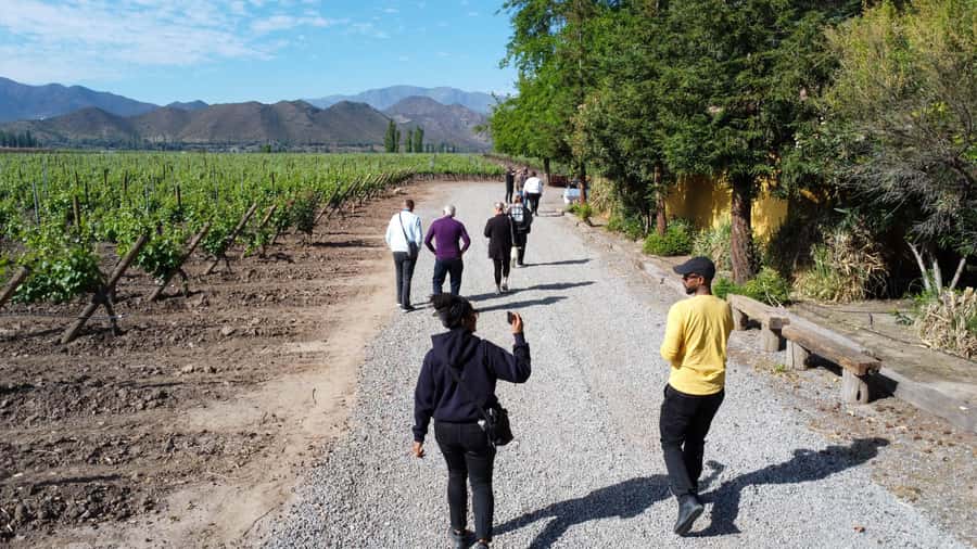 Santiago: Inca Lagoon Tour with Local Vineyard and Tasting - What You Get for $79: Value That Comes From Real Inclusions