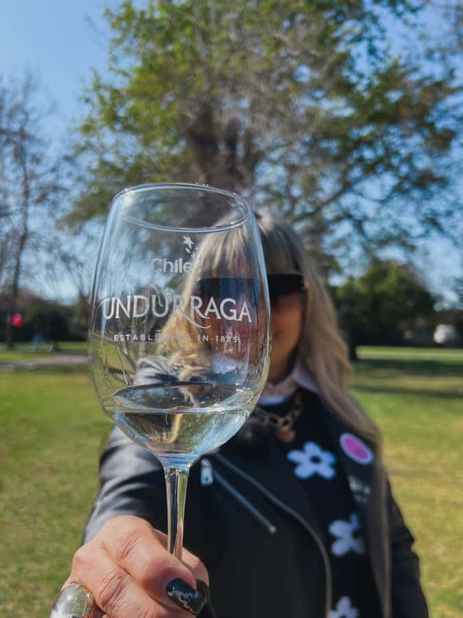 Santiago: Undurraga Winery Tour with Entry and Wine Tasting - Key highlights worth your time