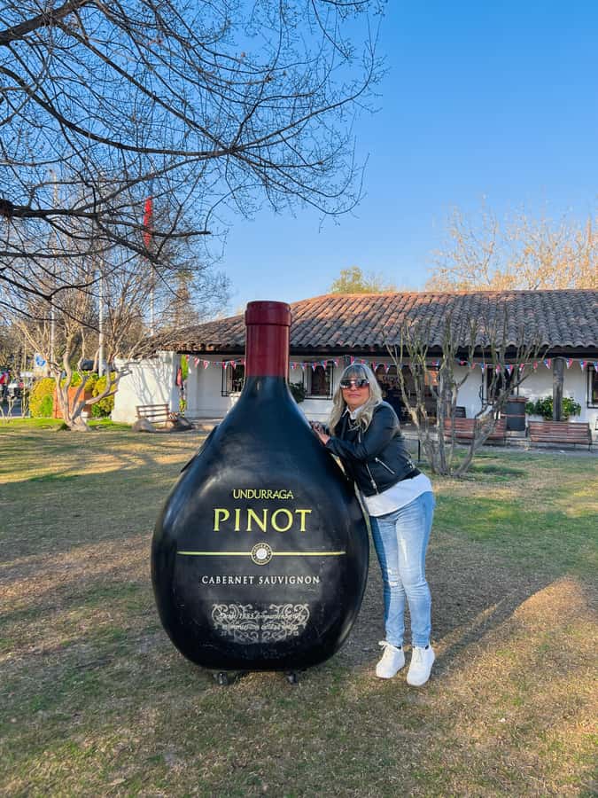 Santiago: Undurraga Winery Tour with Entry and Wine Tasting - Undurraga in the Maipo Valley: what you’re really seeing