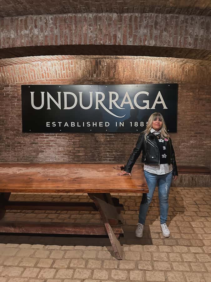 Santiago: Undurraga Winery Tour with Entry and Wine Tasting - A one-hour guided vineyard walk in your language