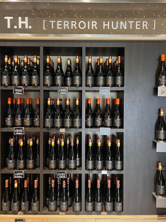Santiago: Undurraga Winery Tour with Entry and Wine Tasting - Cellars visit and the Museum of the Mapuche People