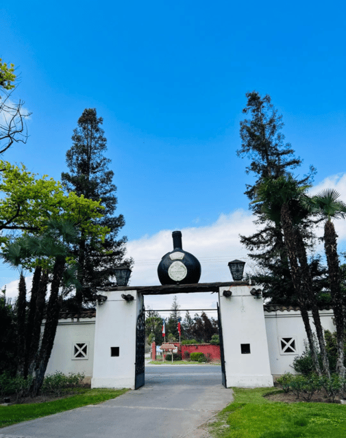 Santiago: Undurraga Winery Tour with Entry and Wine Tasting - Wine shop time and local products