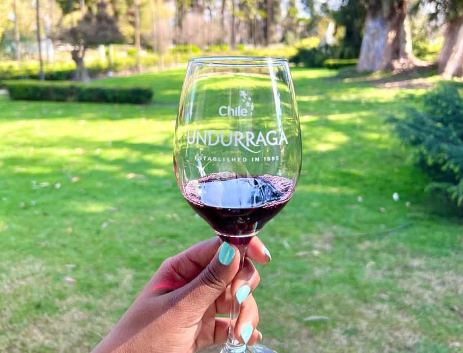 Santiago: Undurraga Winery Tour with Entry and Wine Tasting - Price and timing: is $63 worth it?