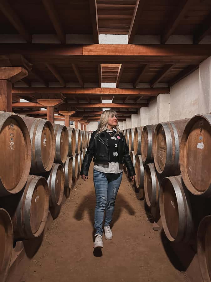 Santiago: Undurraga Winery Tour with Entry and Wine Tasting - Getting from Santiago and why pickup details matter